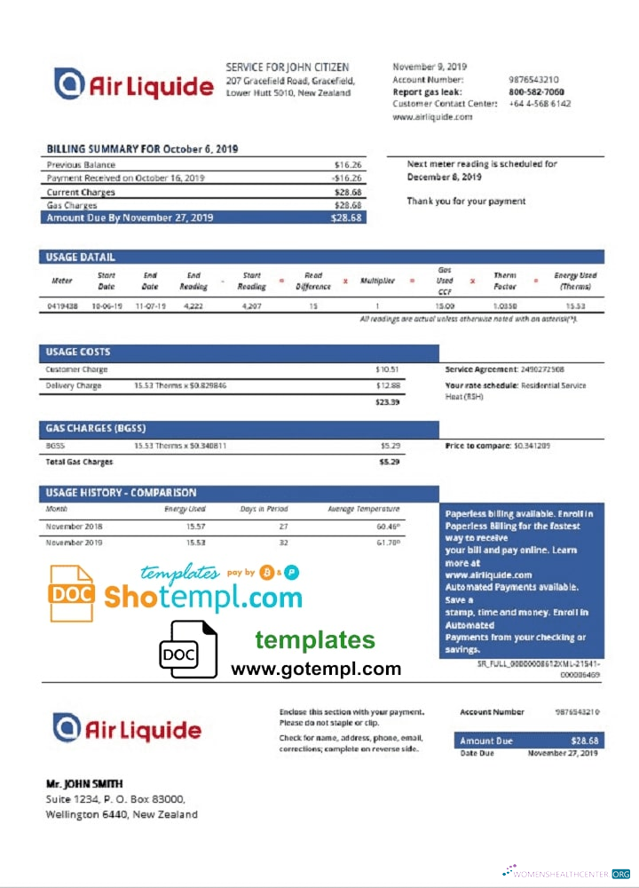 download download New Zealand Air Liquide gas utility bill template in Word and PDF format PDF template PDF template